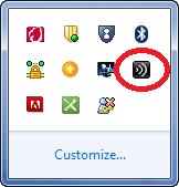 Citrix icon